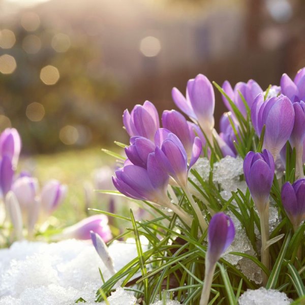 Март природа