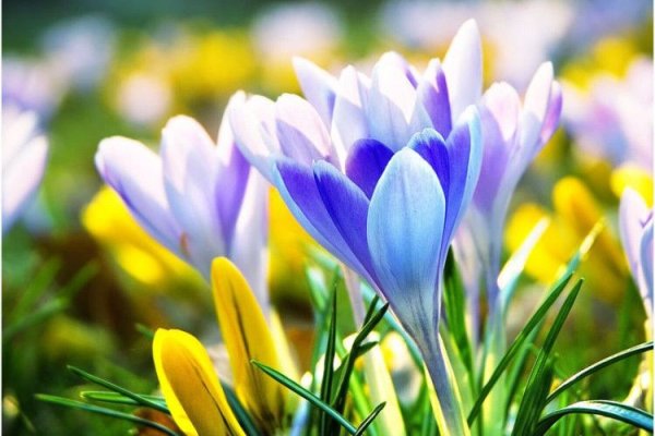 С праздником весны