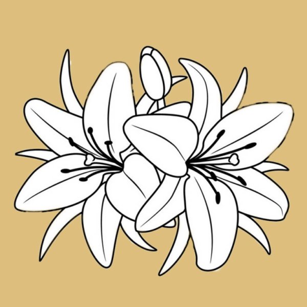 Цветы раскраска для детей