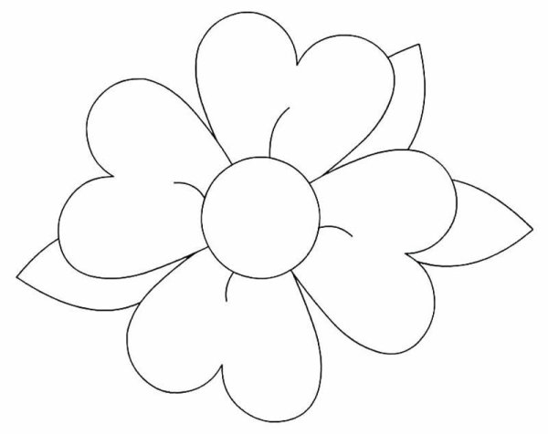 Контуры цветов для рисования