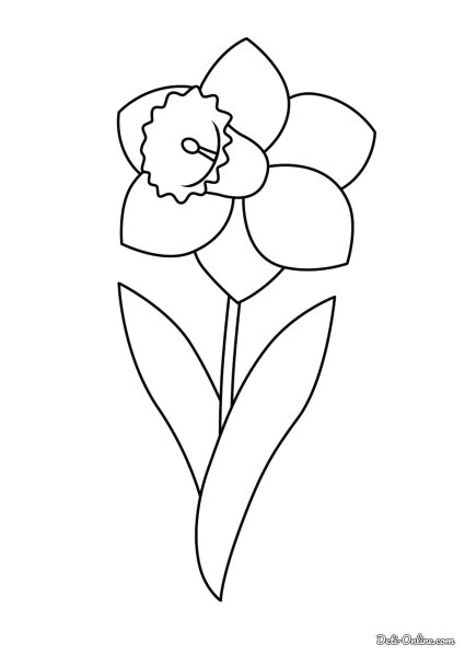 Раскраска цветочек