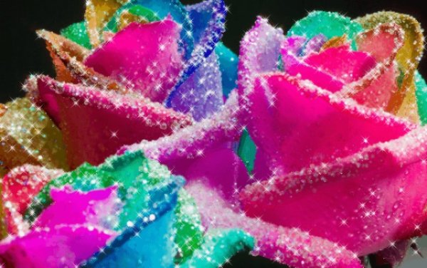 Переливающиеся цветы