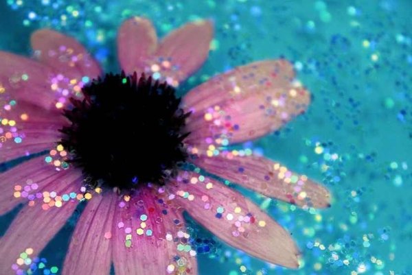 Цветы блестки