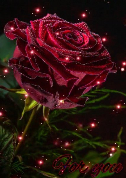 Сверкающие цветы красивые