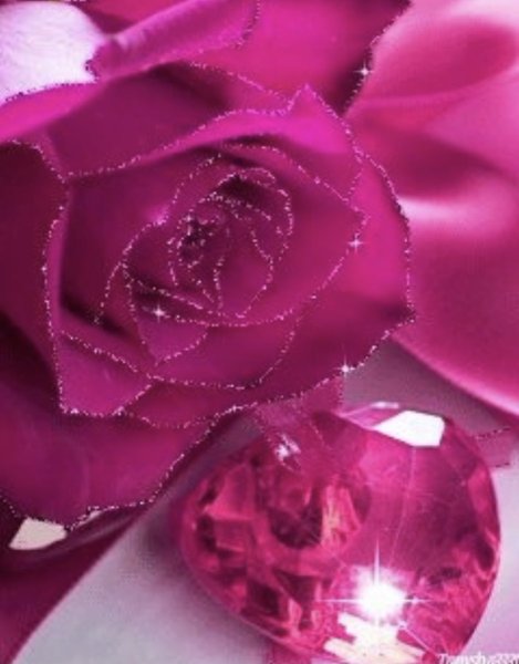 Розы с блеском