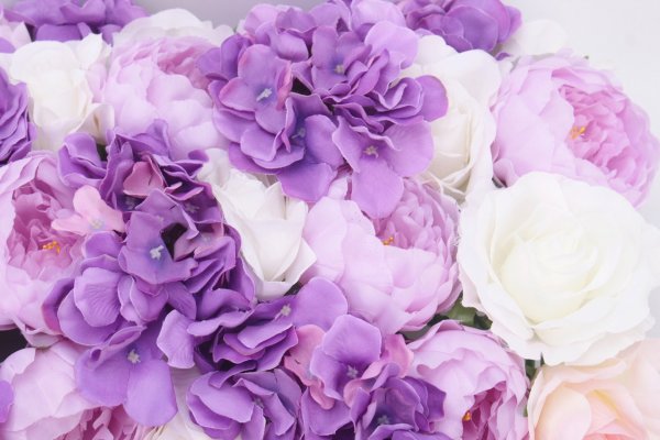 Фиолетовые розы