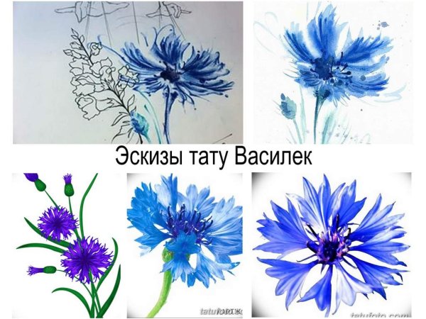 Васильки эскиз тату