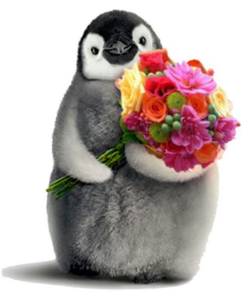 Пингвин с цветами