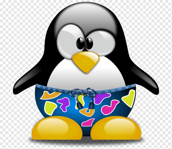 Slax Linux
