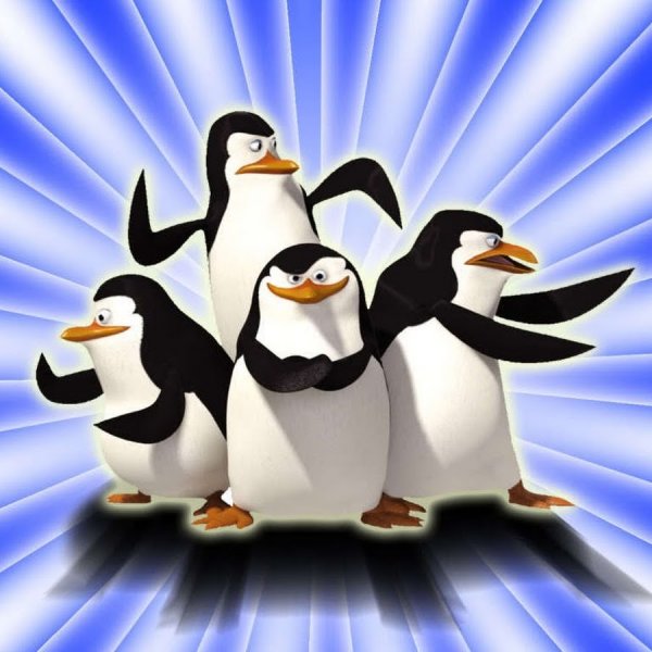 Фон пингвины
