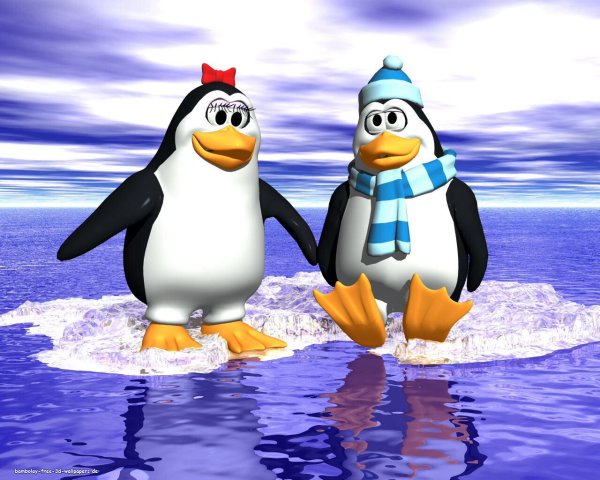 Пингвины обои