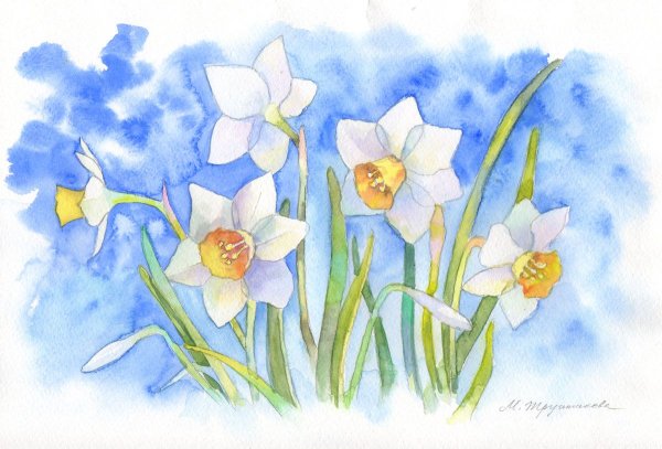 Этюд первоцветы нарциссы