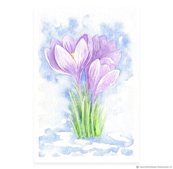 Крокусы акварелью