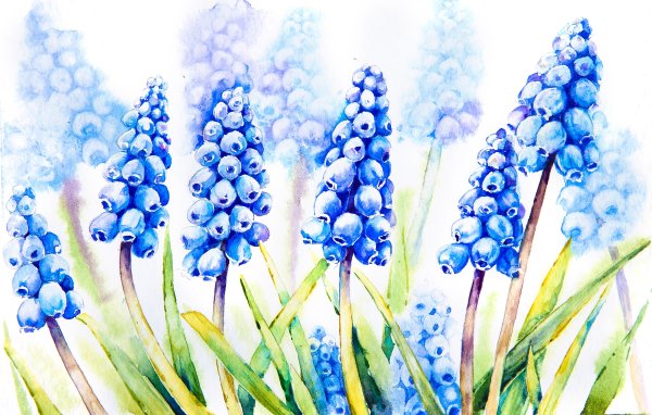 Изо рисование весенних цветов акварелью