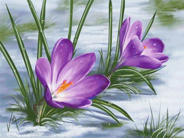 Художник Veronica Minozzi