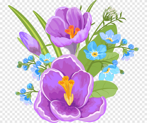 Цветы рисунок