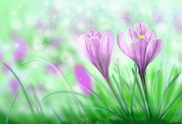 Весенние цветы для детей