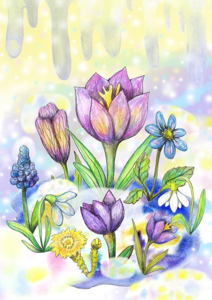 Первоцветы рисунки