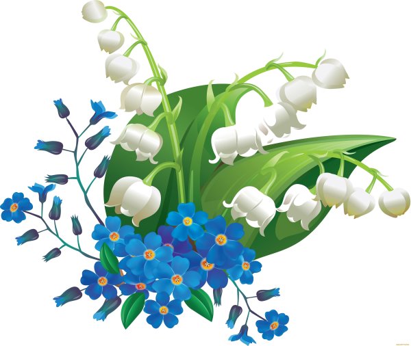 Весенние цветы на прозрачном фоне