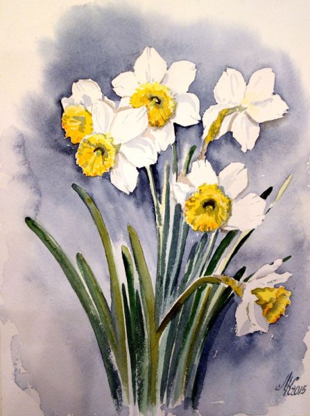 Цветы акварелью нарциссы