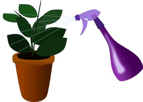 Полив растений для детей