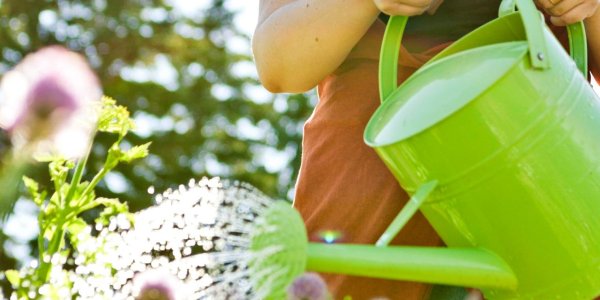 Лейка поливает