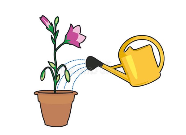 Для детей поливка цветов