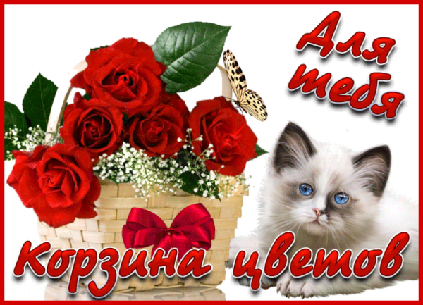 Красивые цветы для Ксюши