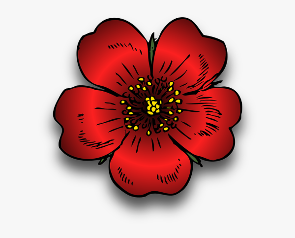 Красный цветочек