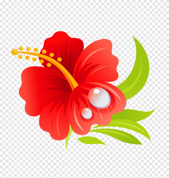 Гибискус Гавайи вектор
