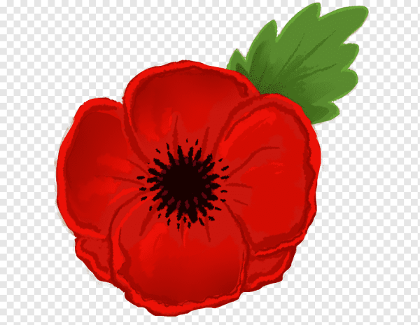 Красный цветок для детей