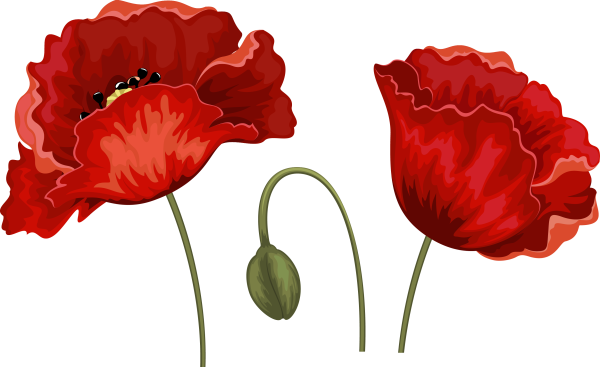 Маки вектор