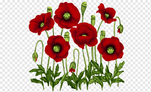 Мак мультяшный