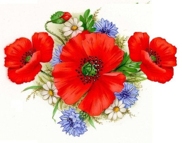 Мак орнамент