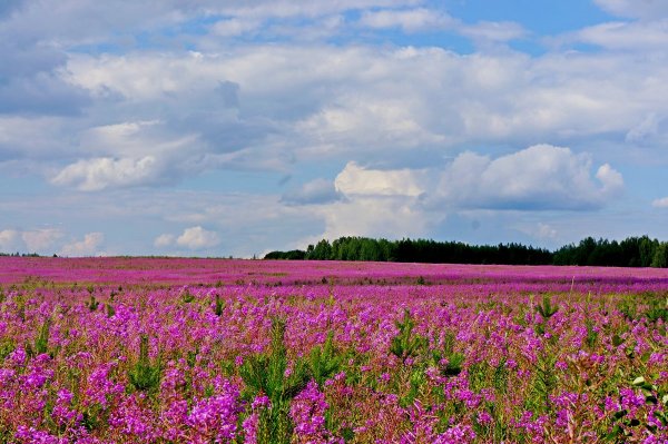 Сергей краев фотопейзажи