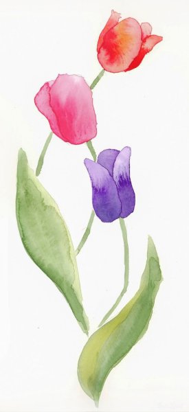 Рисунки акварелью