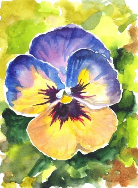 Этюды цветов