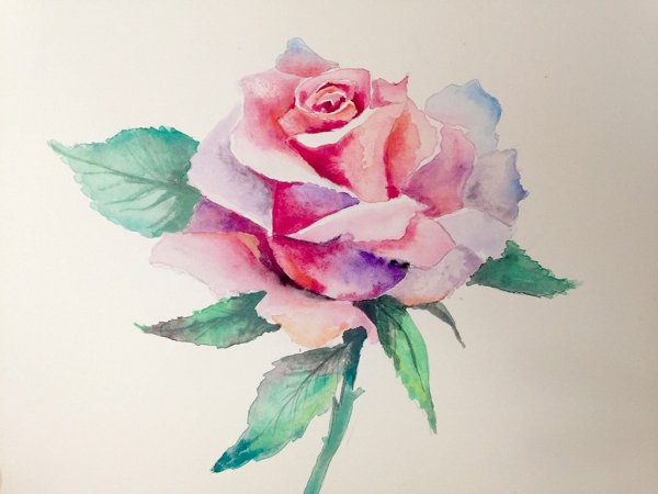 Акварель для начинающих