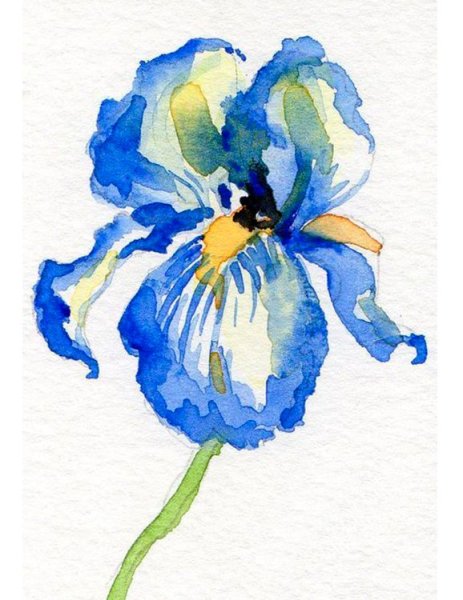 Скетчинг цветы акварелью