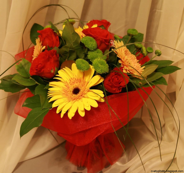 Белая роза с розовой окантовкой