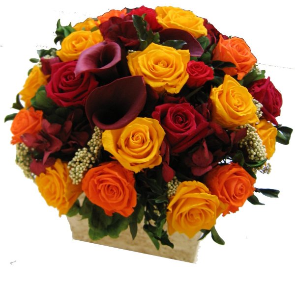 Красивые цветы розы букеты настоящие