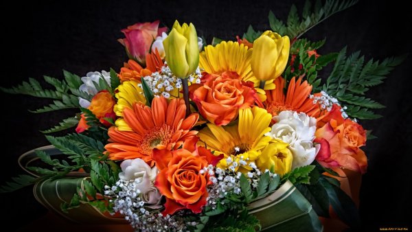 Цветы поздравления