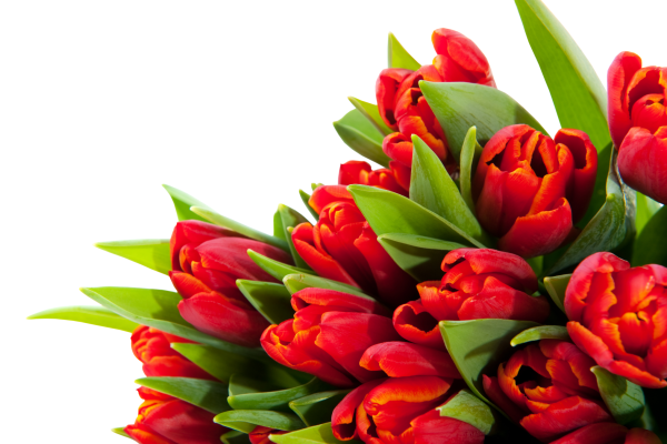 День работников бытового обслуживания