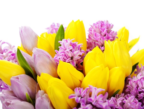 Сирень Мимоза тюльпаны