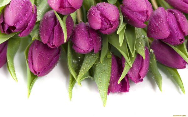 Букет «8 марта»