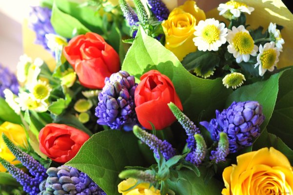 Мимоза и нарциссы