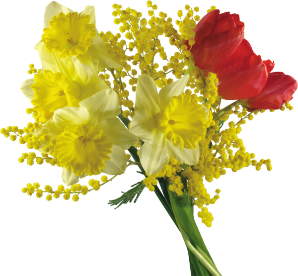 Корзина с тюльпанами