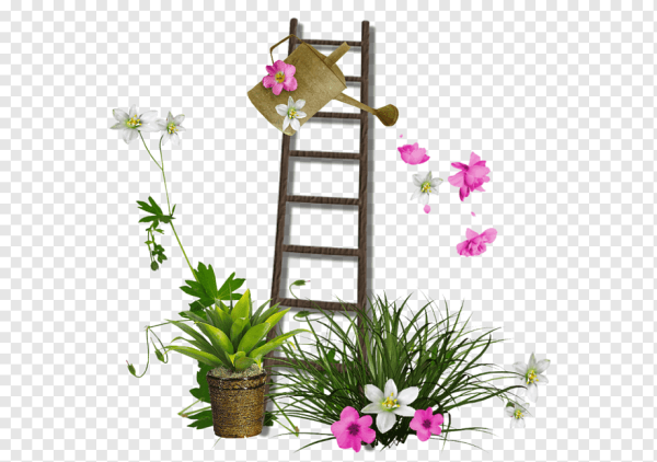 Сад с цветами на прозрачном фоне