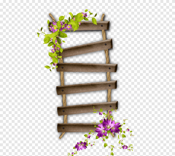 Цветы на фоне ступенек