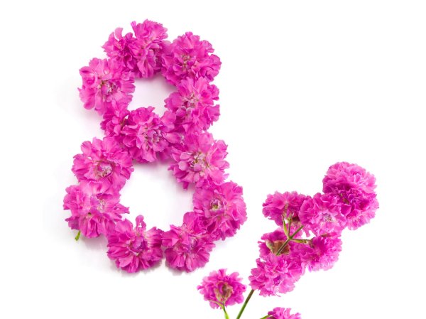 Цветы тюльпаны